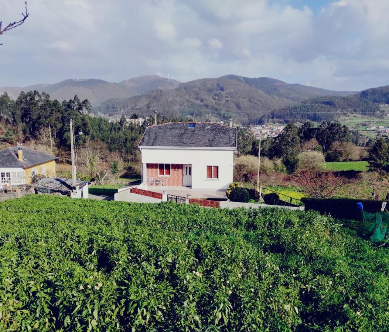 Casa Familiar Con Finca Privada Viveiro Exterior foto